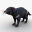 Tasmanian Devil Fur
