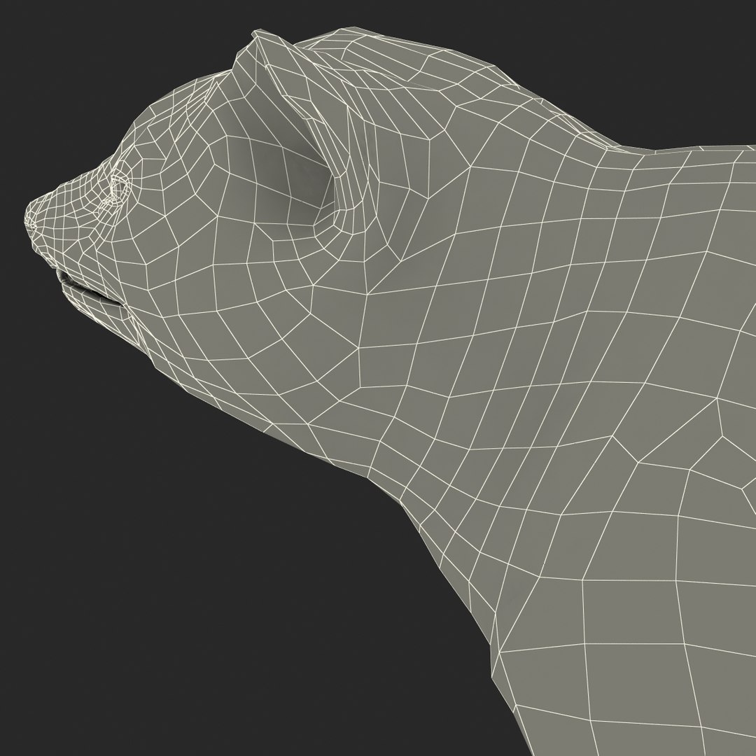 tasmanian devil fur max https://p.turbosquid.com/ts-thumb/BO/iy0Jkx/TT8PDaqe/tasmaniandevilfur_34/jpg/1384549864/1920x1080/fit_q87/5c1d096e6eda897fd067e0e956e72f7138365335/tasmaniandevilfur_34.jpg