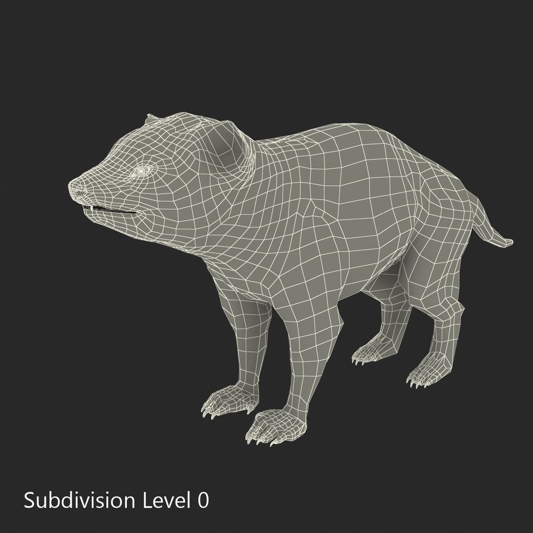 tasmanian devil fur max https://p.turbosquid.com/ts-thumb/BO/iy0Jkx/hwN0WiHq/tasmaniandevilfur_8/jpg/1384549765/1920x1080/fit_q87/8d331e7476492bf5c42214d2ce4d53862b71f662/tasmaniandevilfur_8.jpg