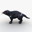 Tasmanian Devil Fur