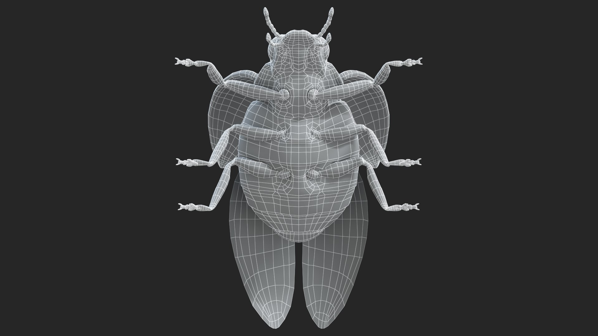 Ladybug model - TurboSquid 1966741
