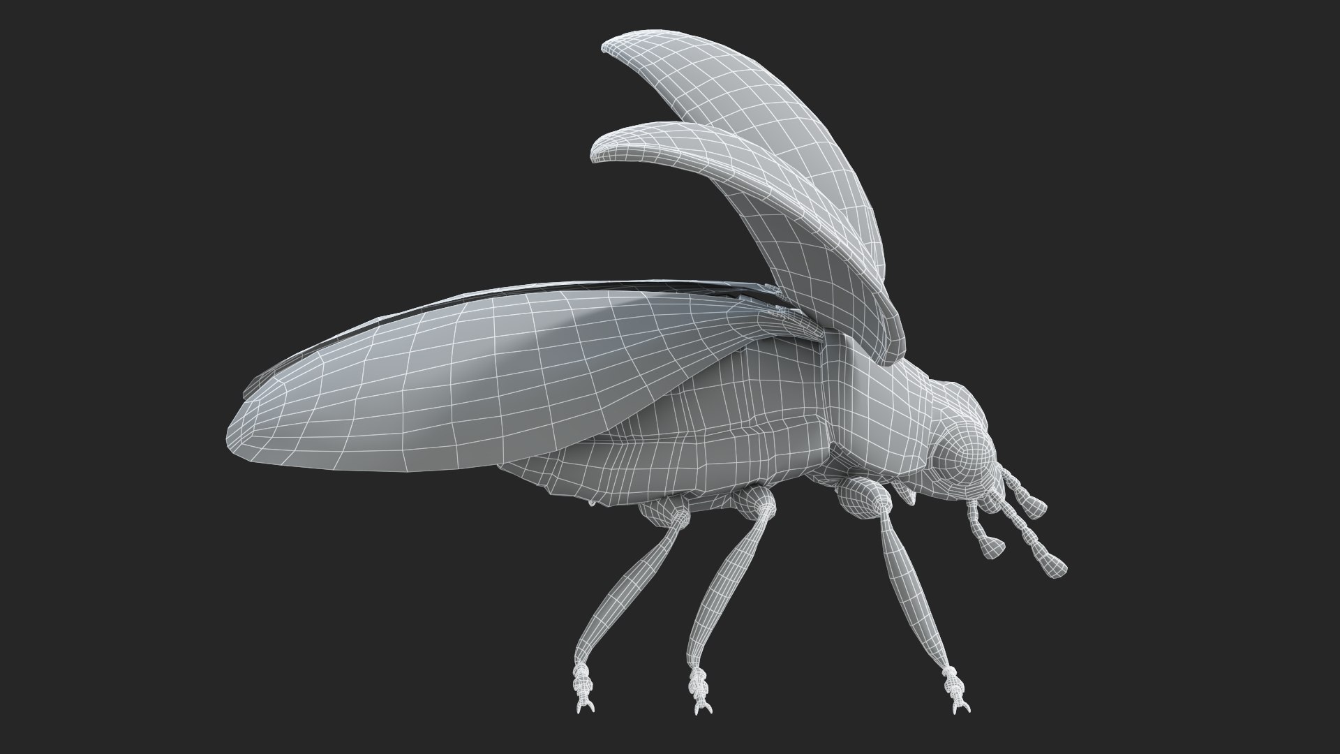 Ladybug model - TurboSquid 1966741