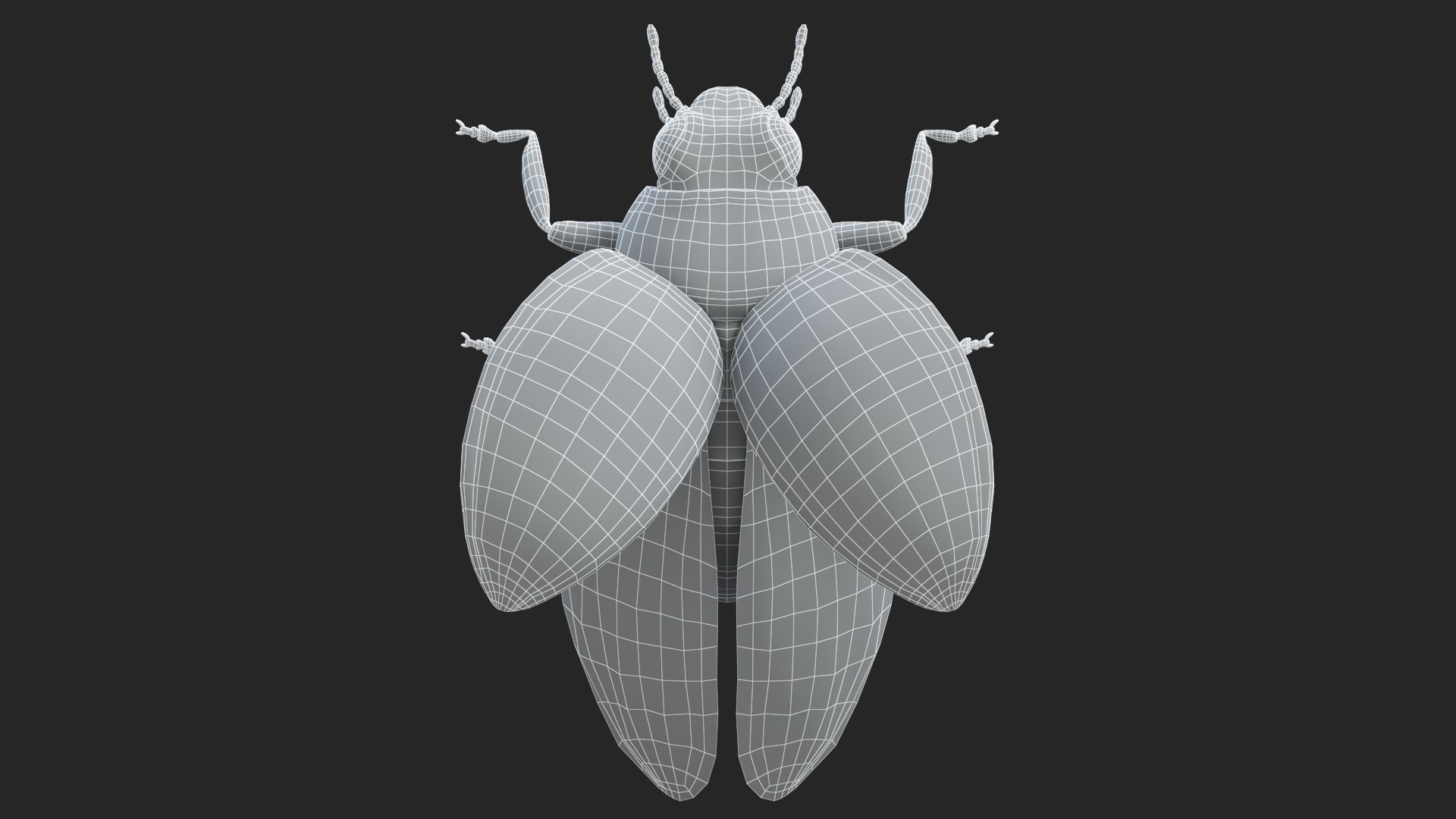 Ladybug model - TurboSquid 1966741