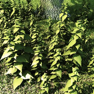 Nettle lowpoly summer and frost types