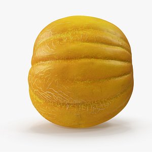 3D melon v-ray model