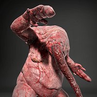 Fat mutant