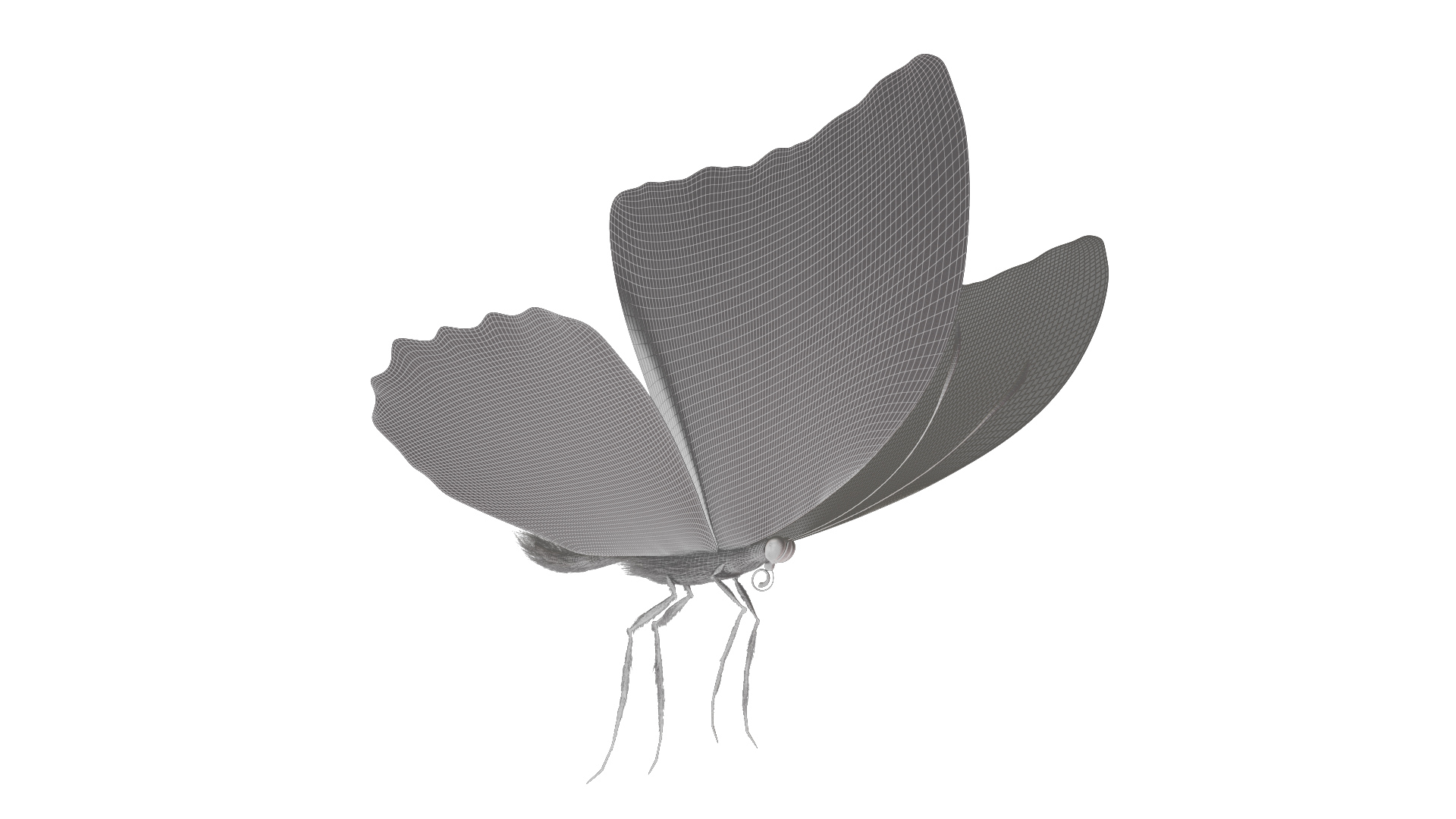 3D rigged animations https://p.turbosquid.com/ts-thumb/BP/MWVEcG/KFJHjhmr/blue_morpho_wireframe/jpg/1585247476/1920x1080/turn_fit_q99/3463d3db9a7350632b14063319a78f8f079aedc2/blue_morpho_wireframe-1.jpg