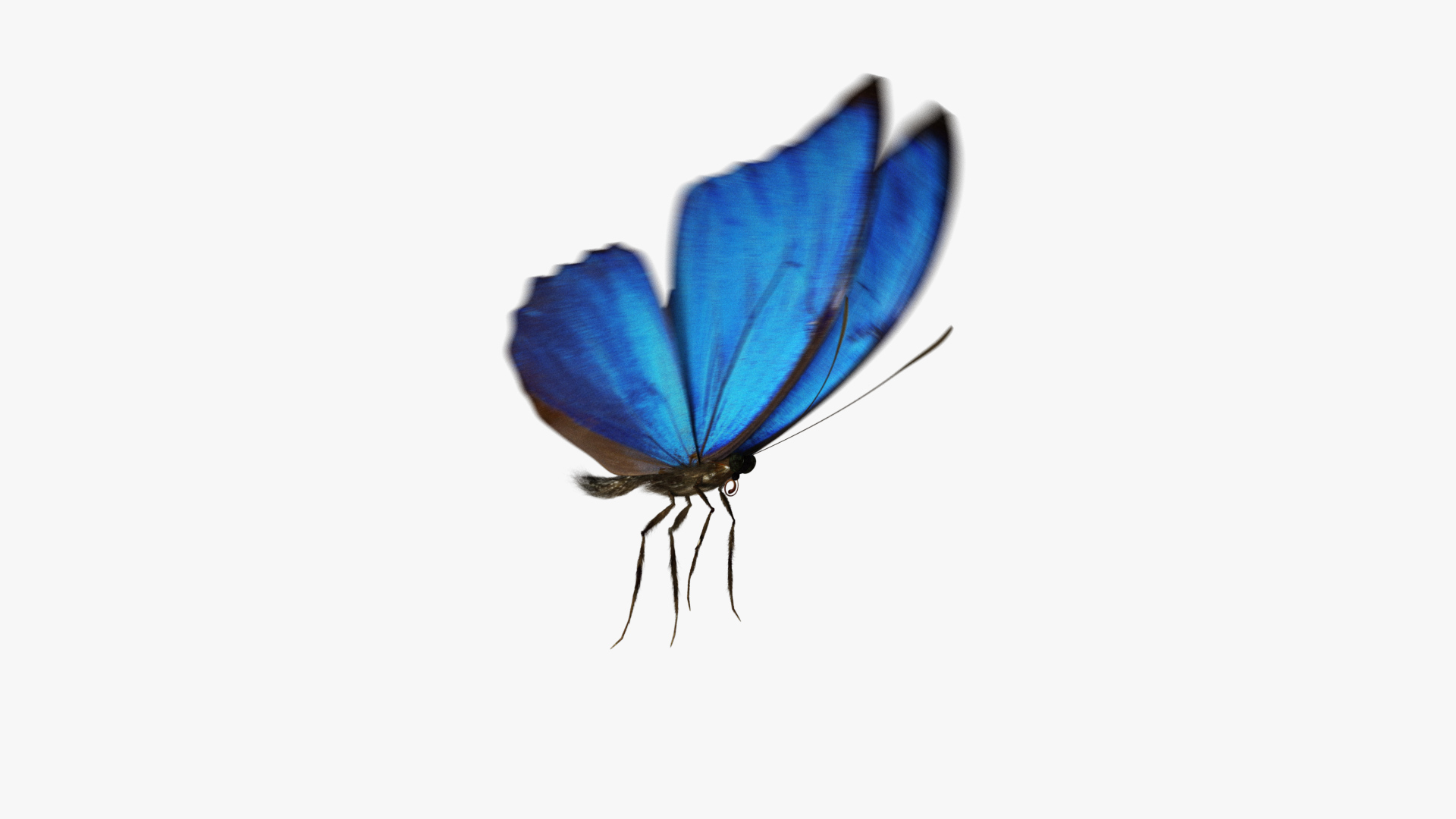 3D rigged animations https://p.turbosquid.com/ts-thumb/BP/MWVEcG/U3JmJdFe/animate/jpg/1585252878/1920x1080/turn_fit_q99/480fd7cb79f0fff229c3a716b232b1652291194b/animate-1.jpg