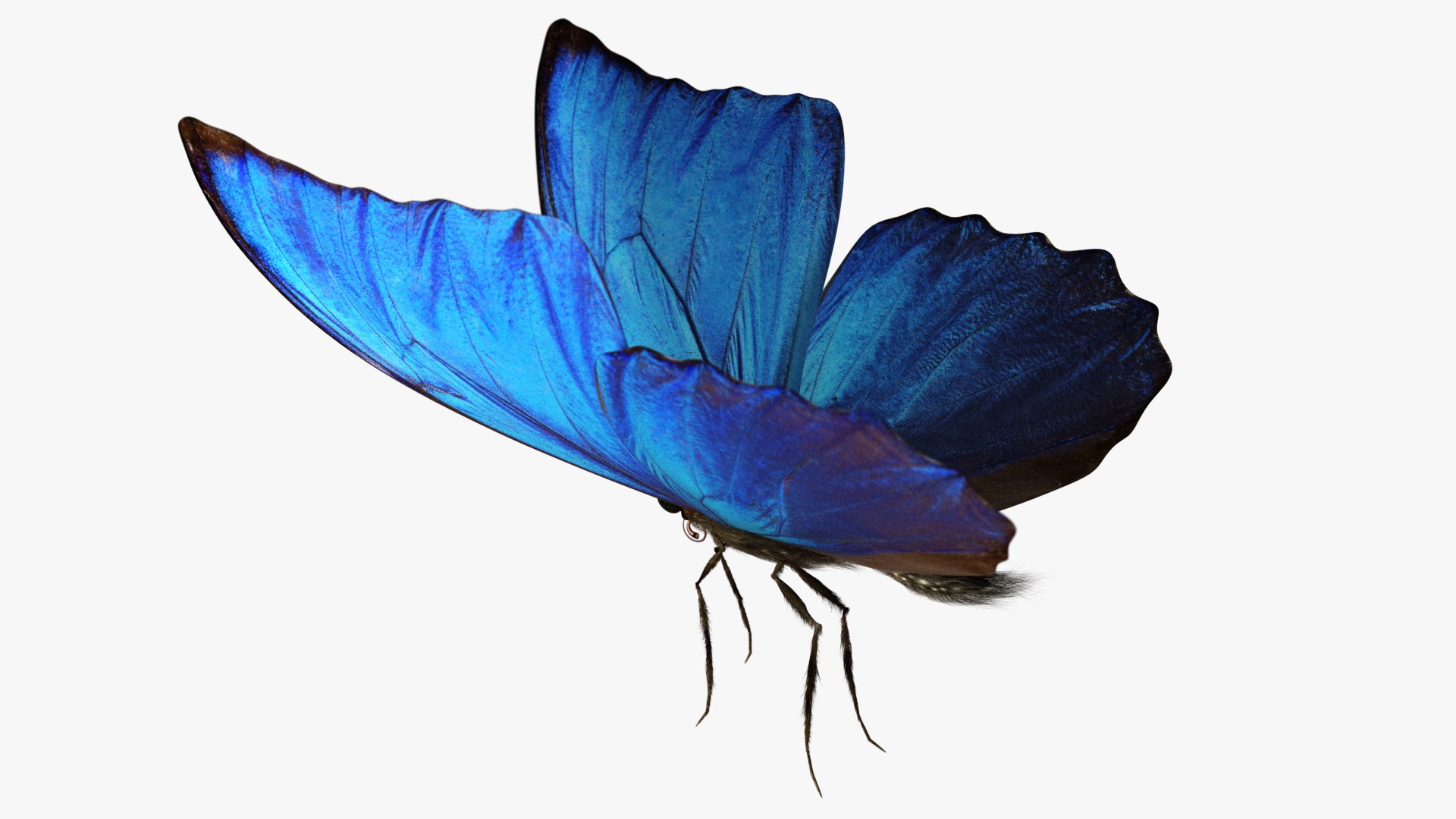 3D rigged animations https://p.turbosquid.com/ts-thumb/BP/MWVEcG/WHyr4zhB/butterfly01_c/jpg/1585248438/1920x1080/fit_q87/637507fc2deec1a9f3fda5996e2bbd2d026c96df/butterfly01_c.jpg