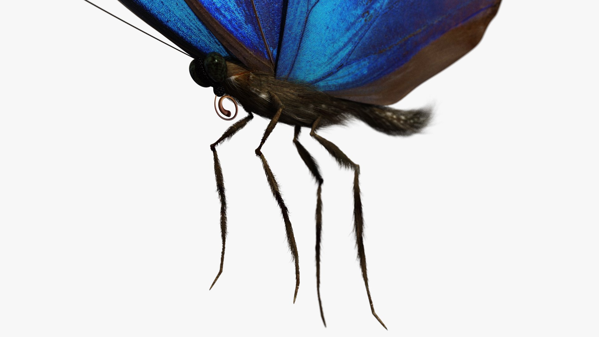 3D rigged animations https://p.turbosquid.com/ts-thumb/BP/MWVEcG/dWkdPD8R/butterfly01_f/jpg/1585249151/1920x1080/fit_q87/142cc6ff5bb2b00132c0c695a99e680159c627b0/butterfly01_f.jpg