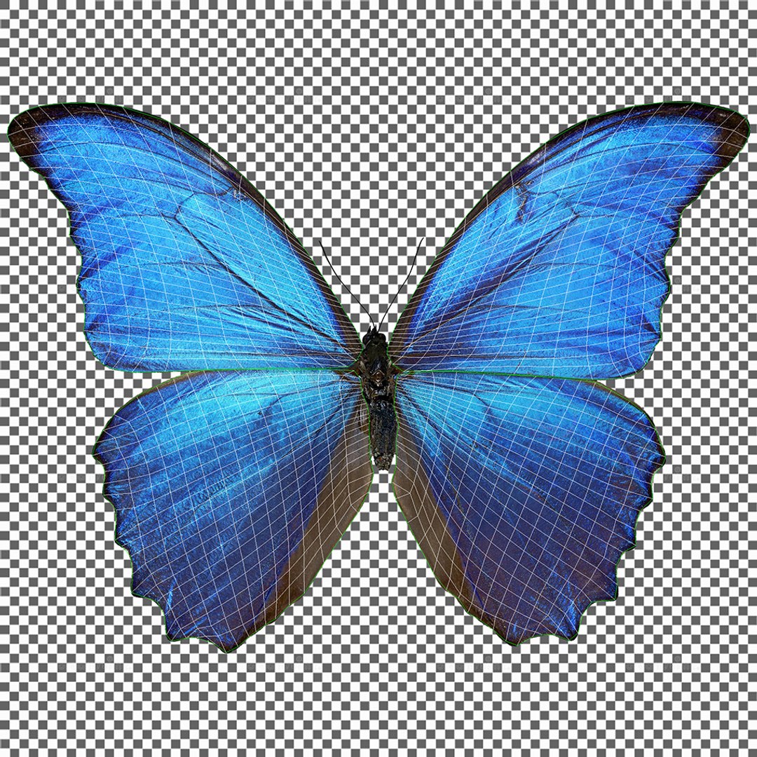 3D rigged animations https://p.turbosquid.com/ts-thumb/BP/MWVEcG/vDQmrbgF/uv02/jpg/1585976100/1920x1080/fit_q87/9c10ebe165bc4b18135986c084020fcf9b999ec4/uv02.jpg