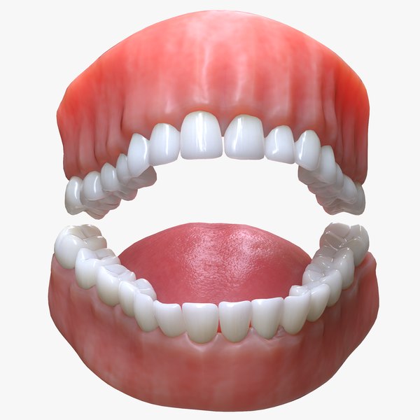Mouth And Teeth Template