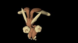 dancing lopunny model