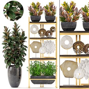 3D model shelf decor tropical plants