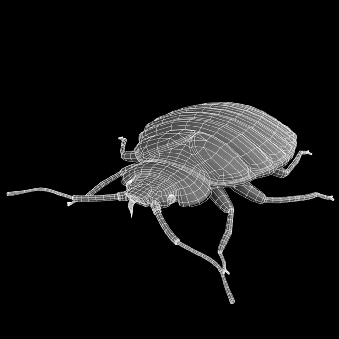 bed bug pest 3ds https://p.turbosquid.com/ts-thumb/BP/z08T4b/kxFtffYe/w2/png/1410872535/1920x1080/fit_q87/aa57a12cecd467af2ce8744bffbf1459e7c09e88/w2.jpg