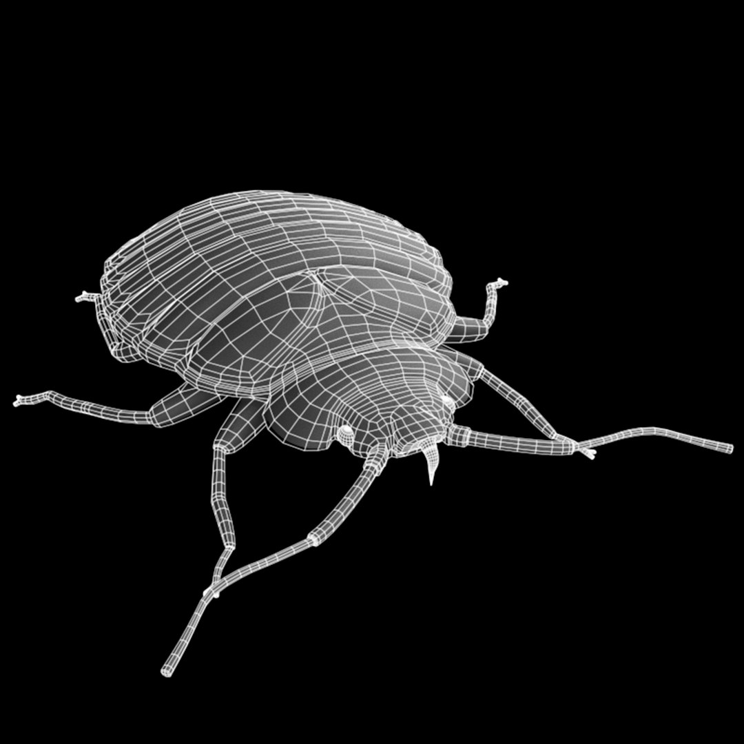 bed bug pest 3ds https://p.turbosquid.com/ts-thumb/BP/z08T4b/pnN0CDaz/w1/png/1410872535/1920x1080/fit_q87/3a20bacb7c2a9fb7dff91be1b422ca2a5425a39a/w1.jpg