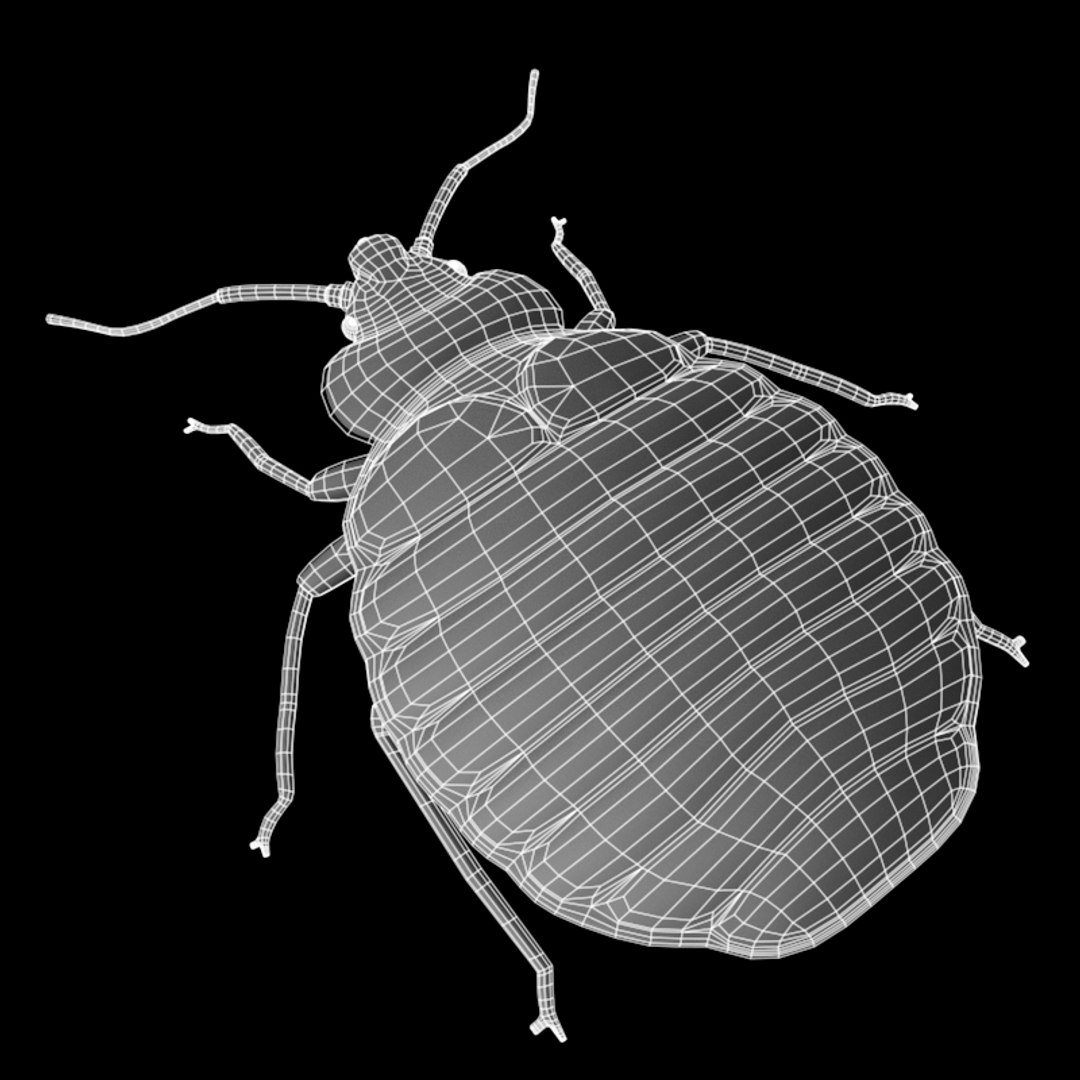 bed bug pest 3ds https://p.turbosquid.com/ts-thumb/BP/z08T4b/sUVhcx2g/w3/png/1410872535/1920x1080/fit_q87/72c40988e6422fbaf26ef2dd2b2fc7a6922e104d/w3.jpg