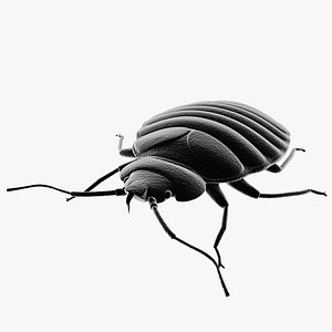 bed bug pest 3ds