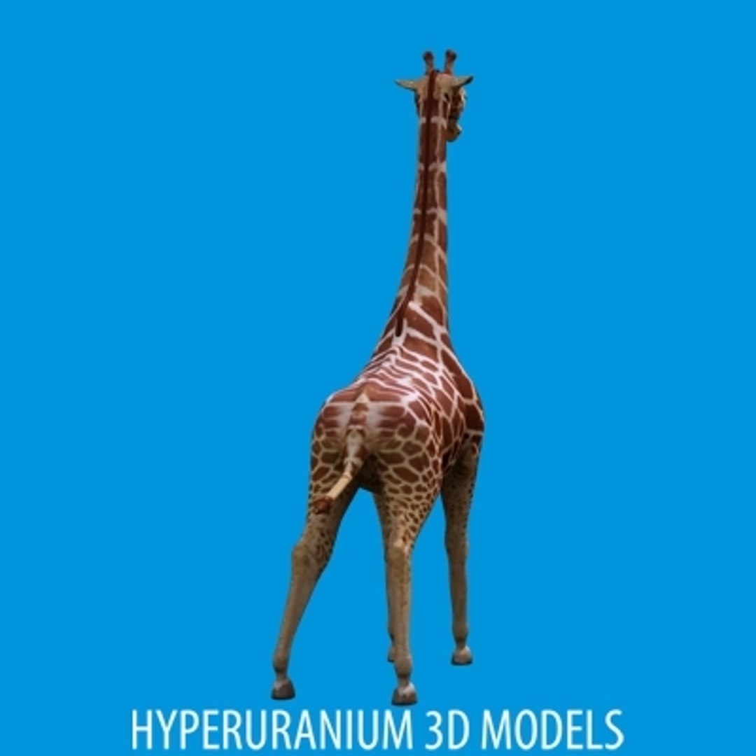 giraffe 3d model https://p.turbosquid.com/ts-thumb/BQ/4howOU/RGh62xIF/giraffe_02/jpg/1157456132/1920x1080/fit_q87/374e6c7ee2af482caa306e6ed6dd259d73f546c7/giraffe_02.jpg