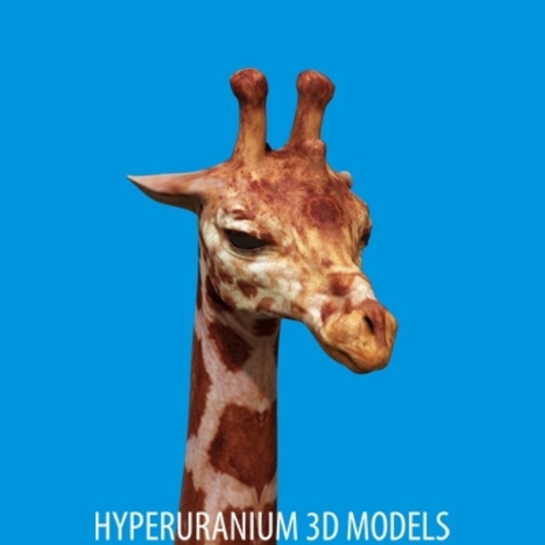 giraffe 3d model https://p.turbosquid.com/ts-thumb/BQ/4howOU/VgUTKFje/giraffe_04/jpg/1157456191/1920x1080/fit_q87/919bf952c707eb824efb8546d597dd55f8124c3e/giraffe_04.jpg