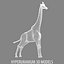 GIRAFFA