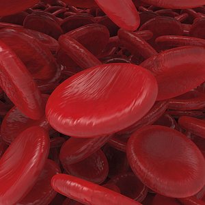 3D red blood cell model