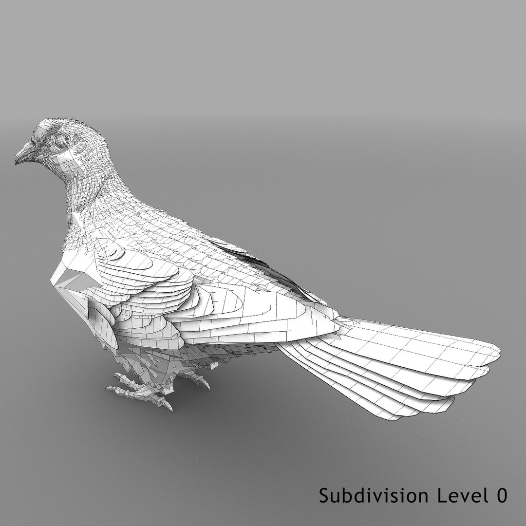 dove animation bird 3d model https://p.turbosquid.com/ts-thumb/BQ/LdErik/7Haw6uoe/dovesinglepix18/jpg/1452908335/1920x1080/fit_q87/a45d0c82f3bb4f5d4210c092c51cb80ccacbe4e8/dovesinglepix18.jpg
