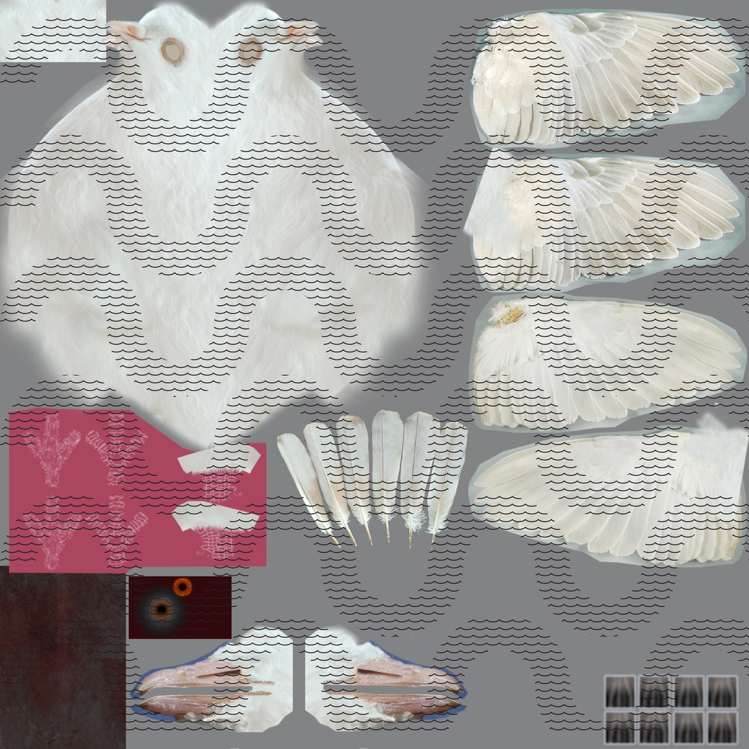 dove animation bird 3d model https://p.turbosquid.com/ts-thumb/BQ/LdErik/WnI6mWn0/dovediff03watermarked/jpg/1452909737/1920x1080/fit_q87/4e0934be0980857f0e93ed2034c961a9d65e2ef0/dovediff03watermarked.jpg