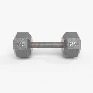 dumbbell 25 pound 3D model