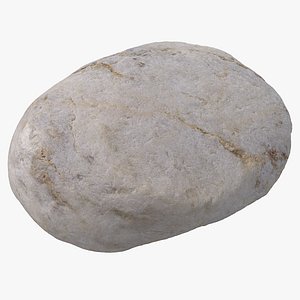 Sea Shore Stone 27