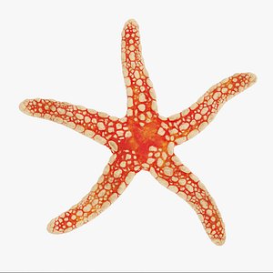 Necklace Starfish Rigged