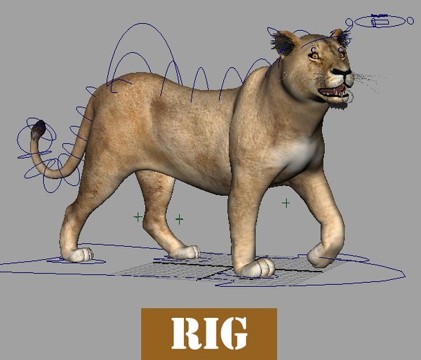 lioness modeled rigged 3d max