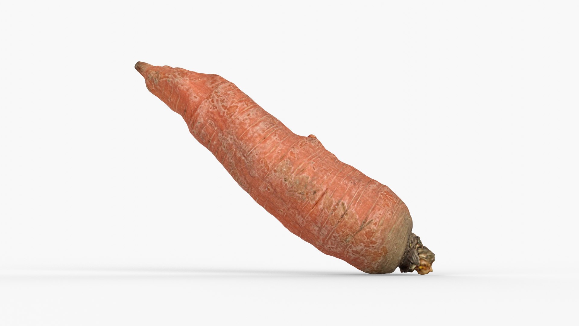3D Photorealistic 3D scan of carrot model https://p.turbosquid.com/ts-thumb/BQ/mwIi0z/1C/view_100001/jpg/1729786210/1920x1080/fit_q87/8e26af1c503269180795ba937b137128a60cd779/view_100001.jpg