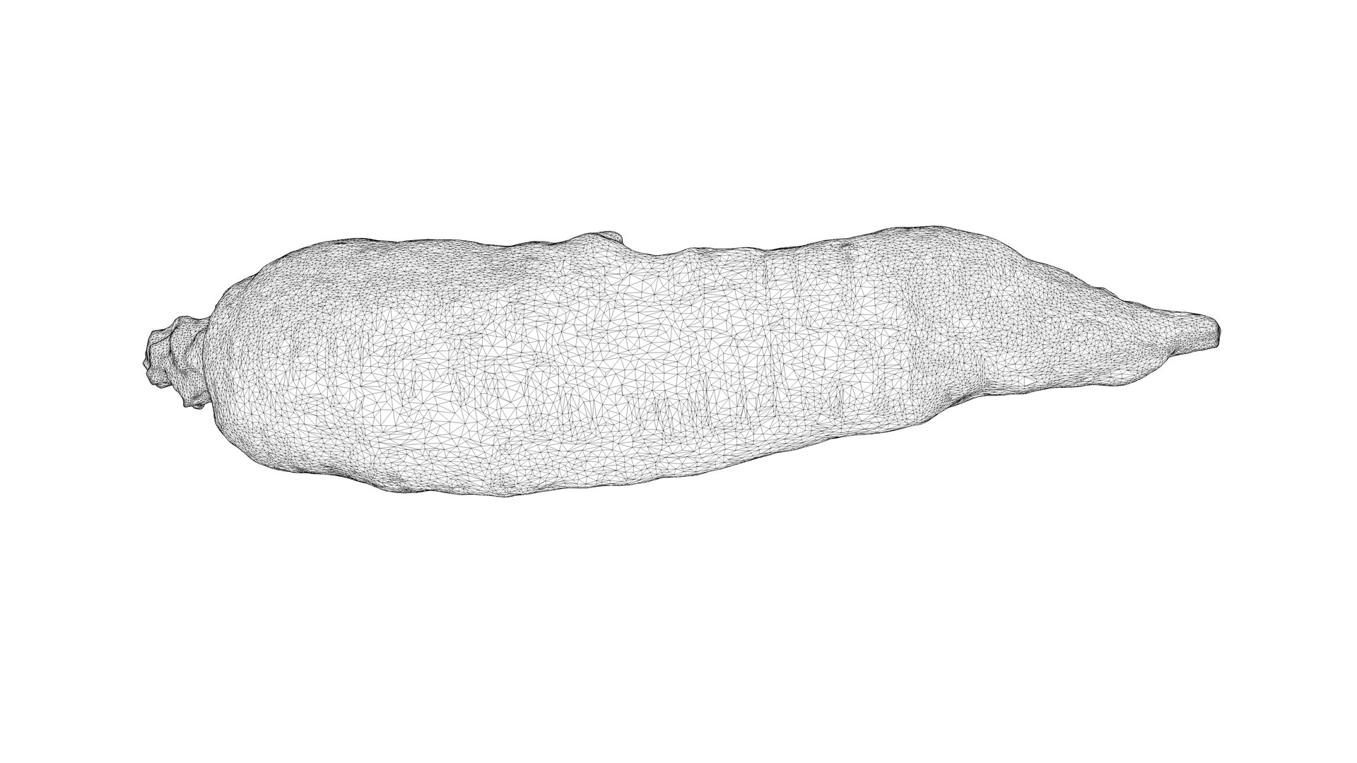 3D Photorealistic 3D scan of carrot model https://p.turbosquid.com/ts-thumb/BQ/mwIi0z/4p/carrot_09c4d/jpg/1715635604/1920x1080/fit_q87/49f71751dda45fce468c77260223a5dcdcf5d5b3/carrot_09c4d.jpg