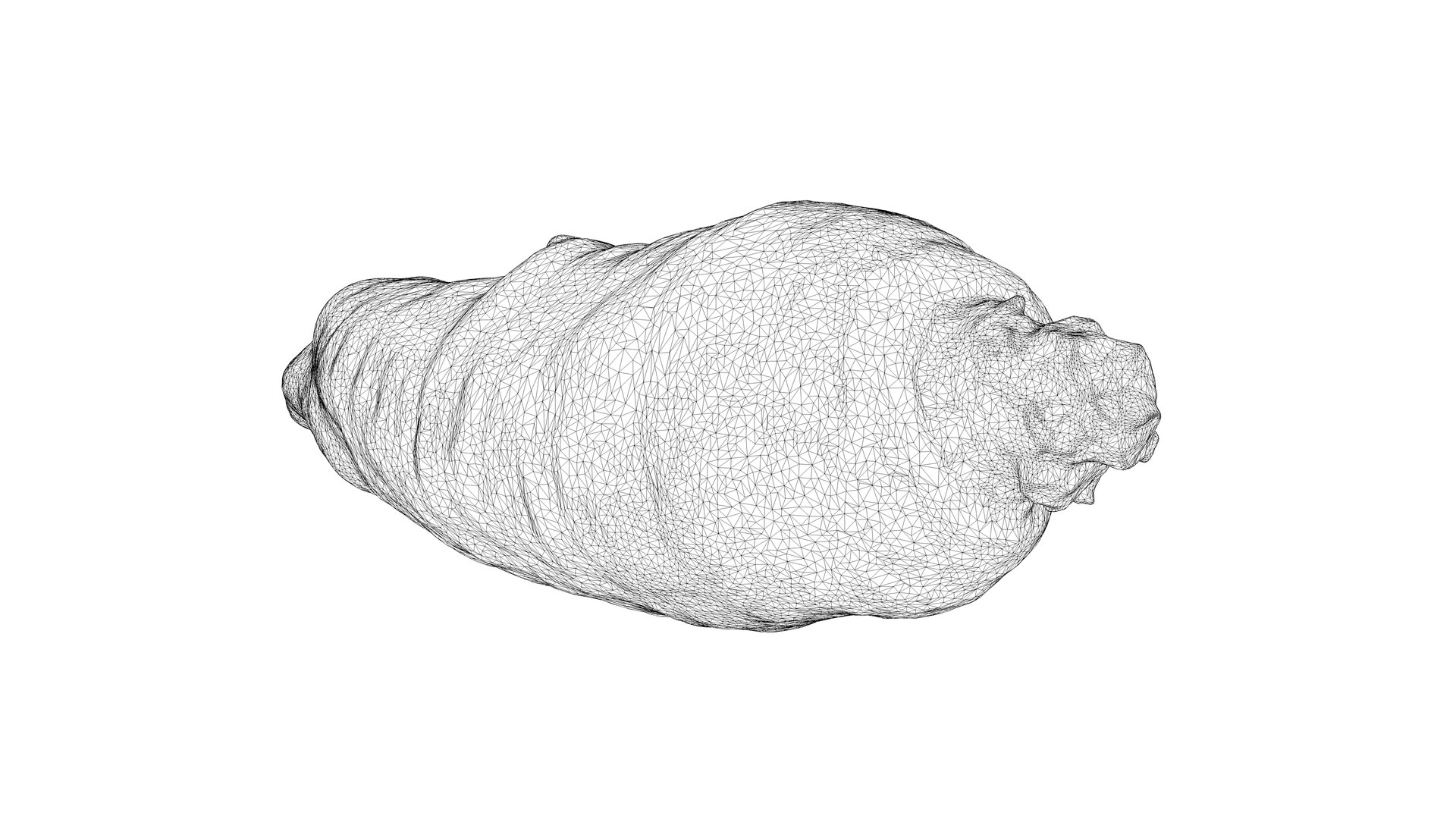 3D Photorealistic 3D scan of carrot model https://p.turbosquid.com/ts-thumb/BQ/mwIi0z/Fu/carrot_07/jpg/1715635602/1920x1080/fit_q87/3d936fae57436ea303eac36f9ad905f24515e3e9/carrot_07.jpg