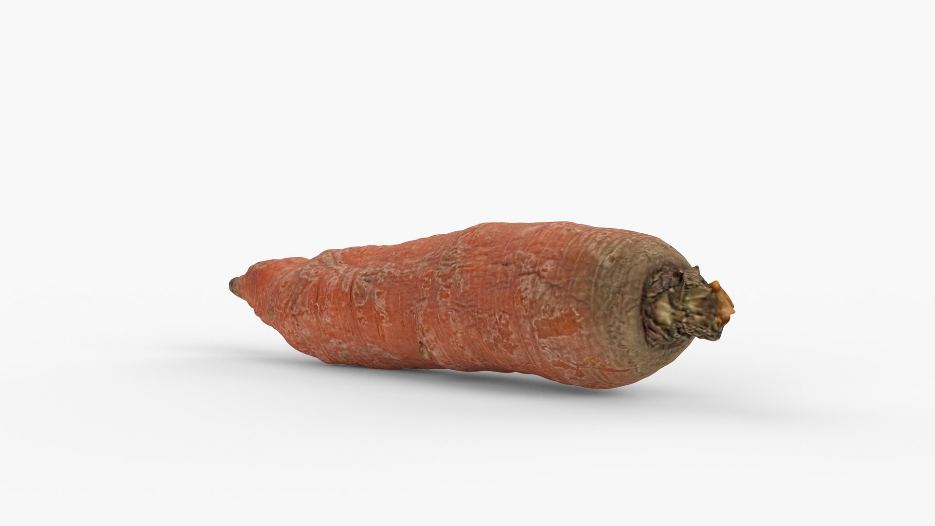 3D Photorealistic 3D scan of carrot model https://p.turbosquid.com/ts-thumb/BQ/mwIi0z/Qm/view_050001/jpg/1729786206/1920x1080/fit_q87/9f33c814e351e0ac1580b2f70fd4990f7836b103/view_050001.jpg
