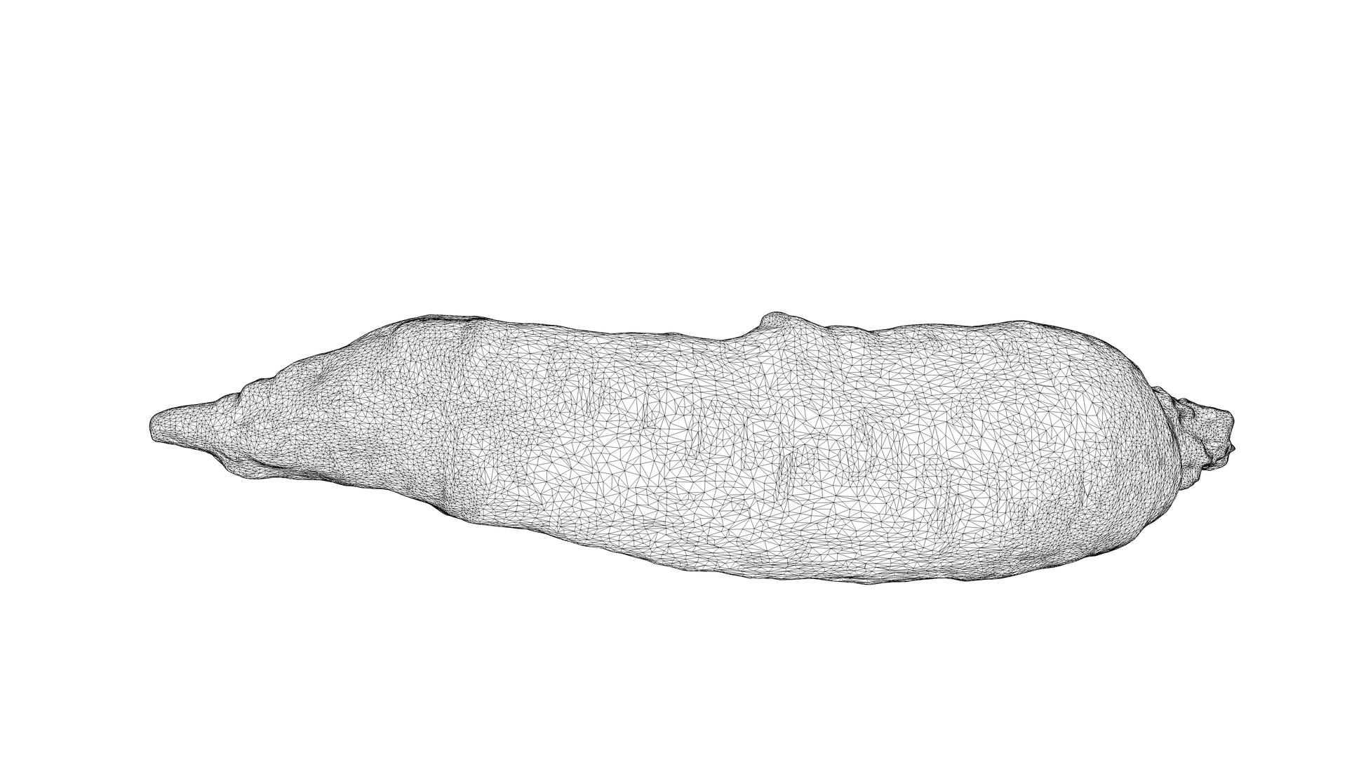 3D Photorealistic 3D scan of carrot model https://p.turbosquid.com/ts-thumb/BQ/mwIi0z/YC/carrot_06/jpg/1715635601/1920x1080/fit_q87/c777bc43c162dea0065b83a2817d052ca0e4f8dc/carrot_06.jpg