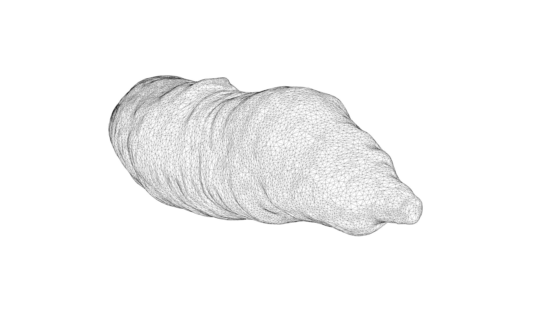 3D Photorealistic 3D scan of carrot model https://p.turbosquid.com/ts-thumb/BQ/mwIi0z/YQ/carrot_10/jpg/1715635607/1920x1080/fit_q87/5c3737437dd9a6a70261839812915c962433b3b4/carrot_10.jpg