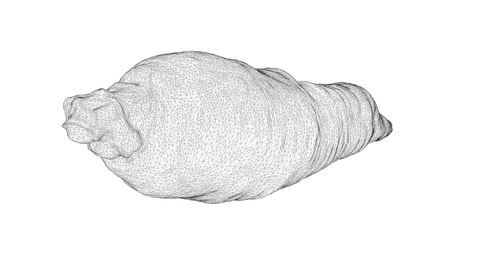3D Photorealistic 3D scan of carrot model https://p.turbosquid.com/ts-thumb/BQ/mwIi0z/n3/carrot_08c4d/jpg/1715635606/1920x1080/fit_q87/d09c0c88054b8071ee4bbdc0451ab6f456f1b671/carrot_08c4d.jpg