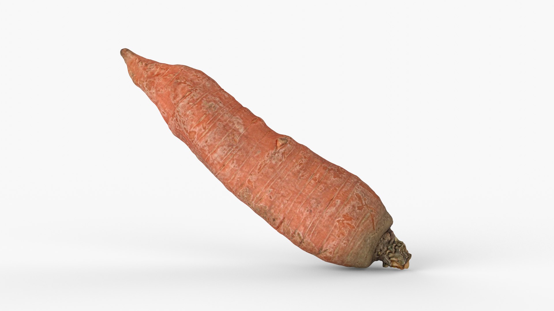 3D Photorealistic 3D scan of carrot model https://p.turbosquid.com/ts-thumb/BQ/mwIi0z/q4/view_130001/jpg/1729786211/1920x1080/fit_q87/7d0aca622c84be547909199f56895149894b383f/view_130001.jpg
