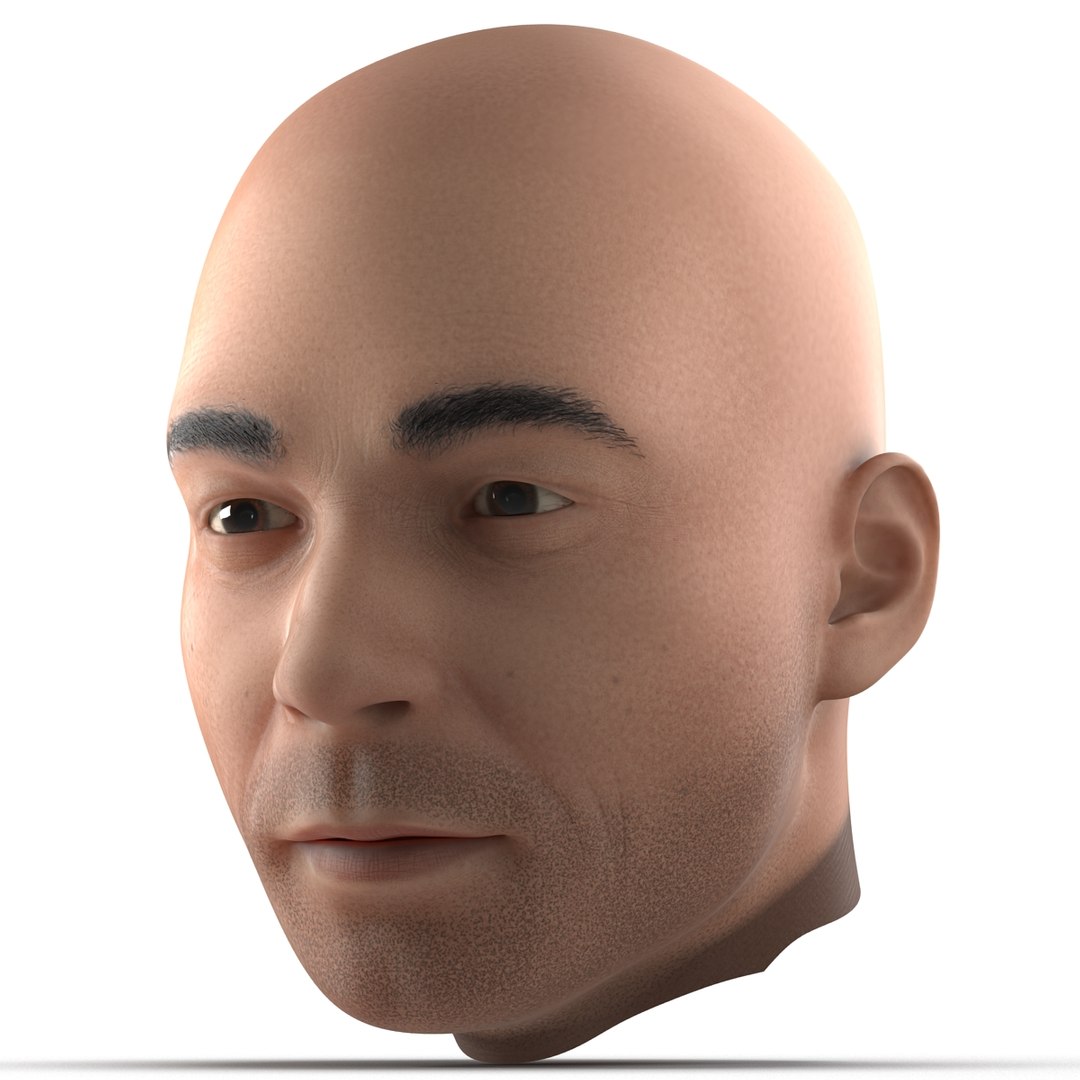 Male Head 3 3D Model 3D model preview