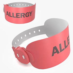3D Medical Allergy Alert Wristband model