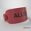 Medical Allergy Alert Wristband