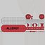 Medical Allergy Alert Wristband