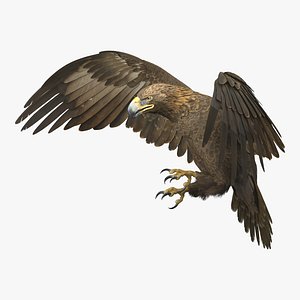 Golden Eagle Animated