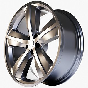 3D RIM model