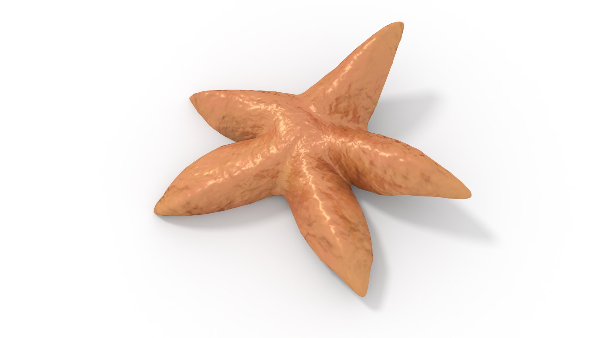 3D star starfish fish https://p.turbosquid.com/ts-thumb/BR/2I8vny/6kZUTWkF/seastar_t2/png/1567419961/1920x1080/fit_q87/731a92943a75463cf444d917f778804e1446aae5/seastar_t2.jpg