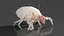 3D Dust Mite Walk Animated Rigged For Maya model