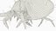 3D Dust Mite Walk Animated Rigged For Maya model