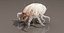3D Dust Mite Walk Animated Rigged For Maya model